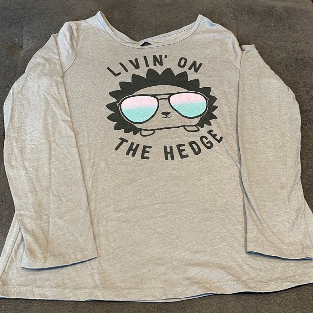 Long sleeve Gray Hedgehog tee shirt